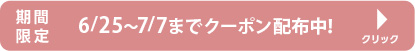 高額クーポン